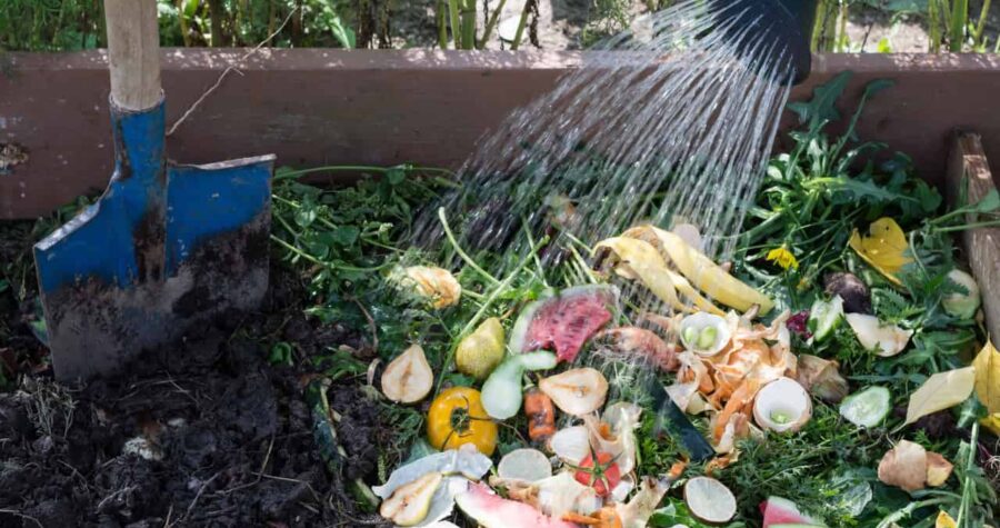 Compost bin with food scraps including banana peels, eggshells, vegetable waste, and organic matter decomposing on dark soil