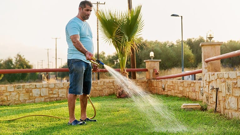 Man watering the garden, using a garden hose, standing on green grass, wearing a blue t-shirt and shorts, palm tree and stone wall in the background, sunny weather