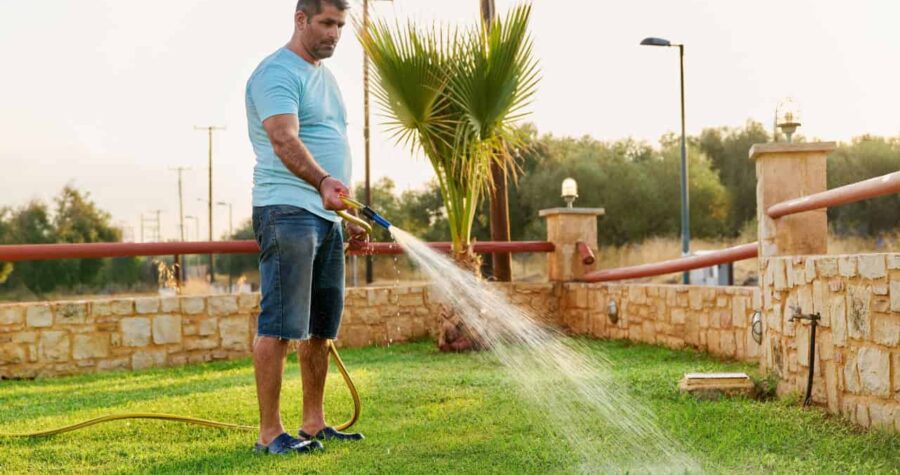 Man watering the garden, using a garden hose, standing on green grass, wearing a blue t-shirt and shorts, palm tree and stone wall in the background, sunny weather
