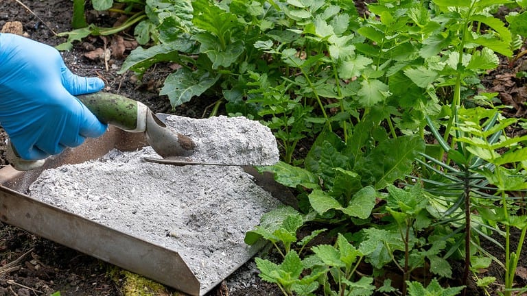 13 Composting Mistakes That Are Ruining Your Garden Soil and How to Fix Them