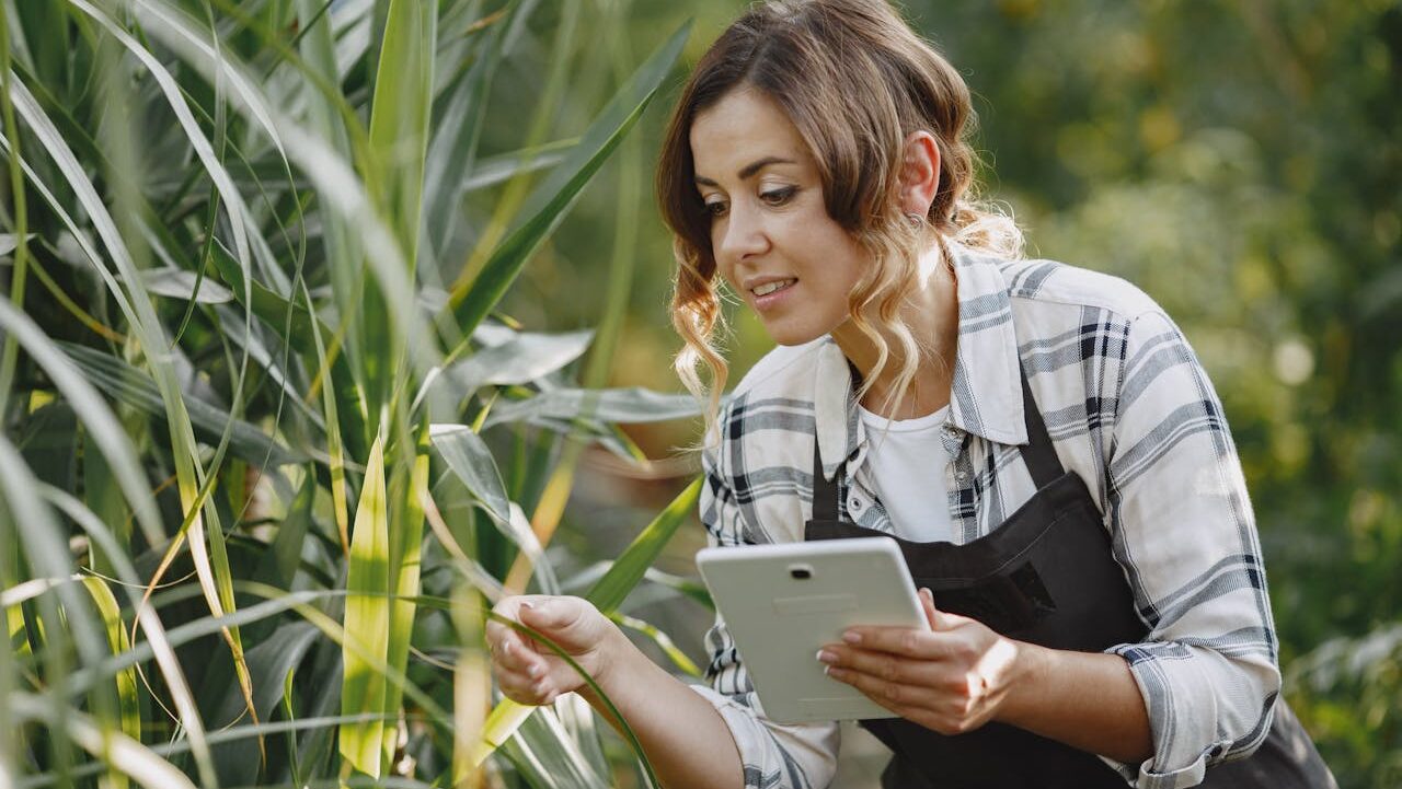 A woman wearing a plaid shirt and black apron is examining a plant leaf while holding a tablet, surrounded by lush green foliage, possibly using technology for plant care or research.