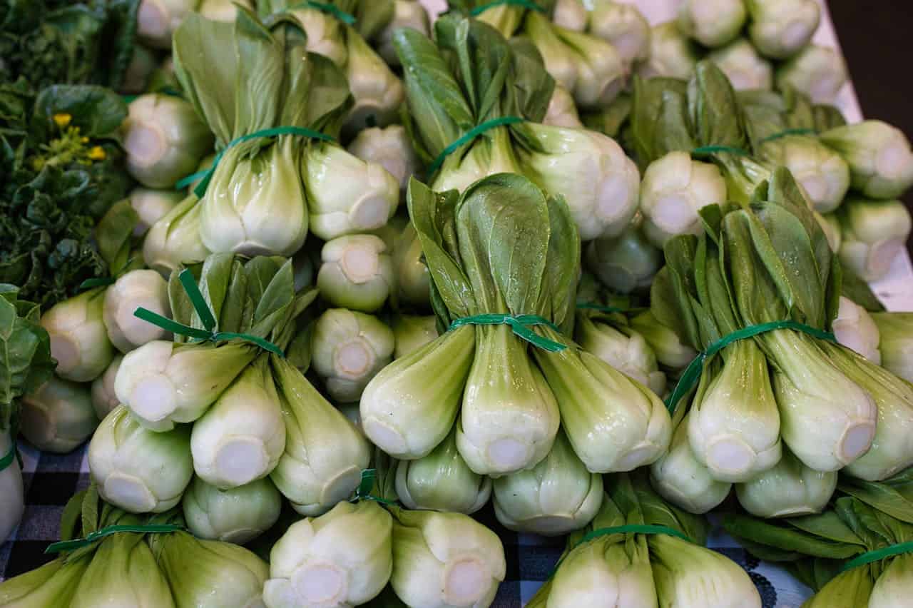 Fresh bok choy bundles, green leaves, white stems, tied with green bands, displayed at a market