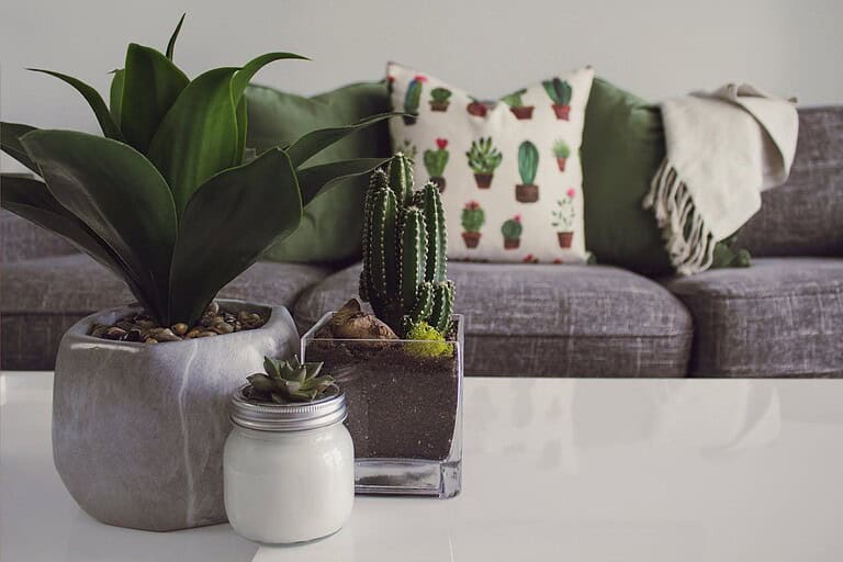 Green potted plants on a white coffee table, small succulent in a glass jar, modern gray sofa in the background, decorative pillow with cactus prints, cozy green cushions and a beige throw blanket