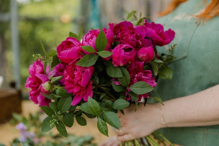 Woman holding a bouquet of vibrant pink peonies, lush green leaves, fresh flowers, outdoor setting, blurred background, natural light