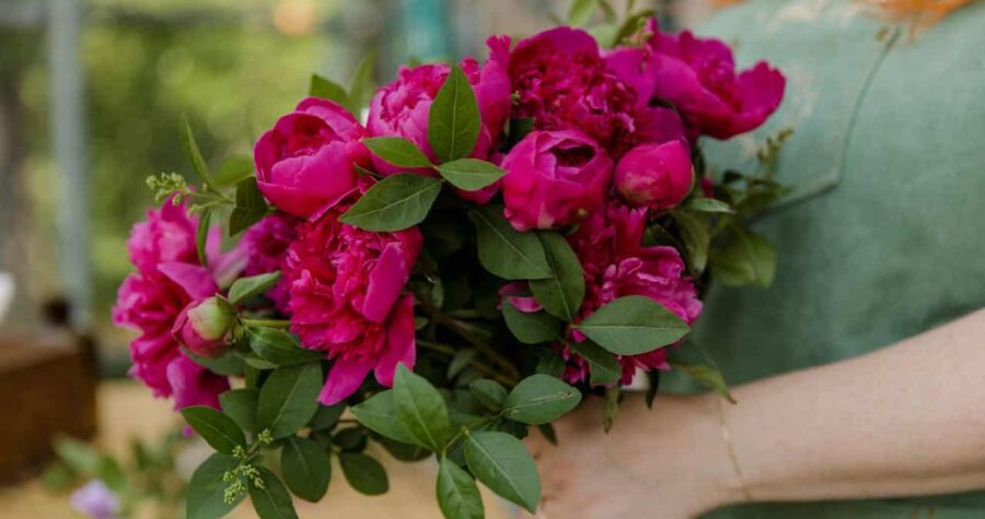 Woman holding a bouquet of vibrant pink peonies, lush green leaves, fresh flowers, outdoor setting, blurred background, natural light