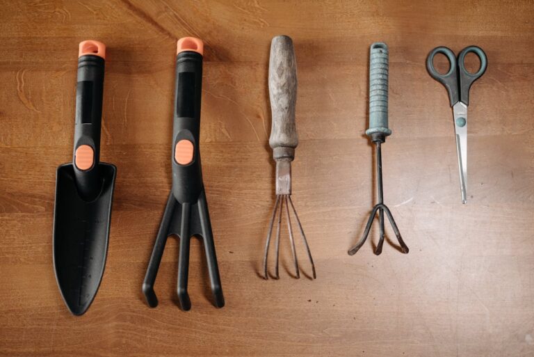 Gardening tools on a wooden surface, includes a trowel, hand rake, cultivator, weeder, and pruning scissors, neatly arranged in a row