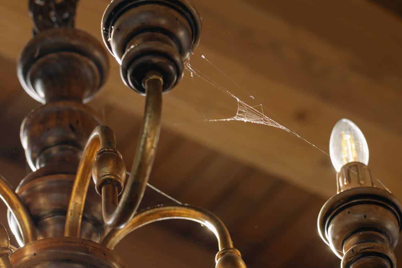 Vintage wooden chandelier with brass arms, lit bulb visible, delicate spider web stretching between fixture parts, warm brown ceiling background