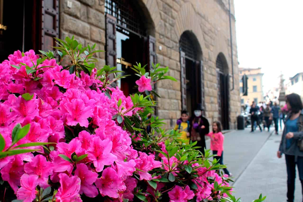 People Walking Beside Building