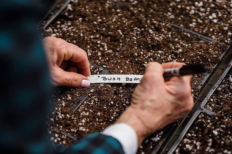 Hands labeling a plant marker for seed selection, seed tray filled with soil and perlite, organized gardening, preparing for planting