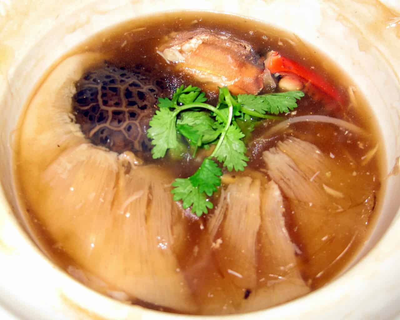 A bowl of shark fin soup is shown, featuring dark broth with slices of shark fin, garnished with fresh cilantro, a piece of red chili, and other ingredients submerged in the soup