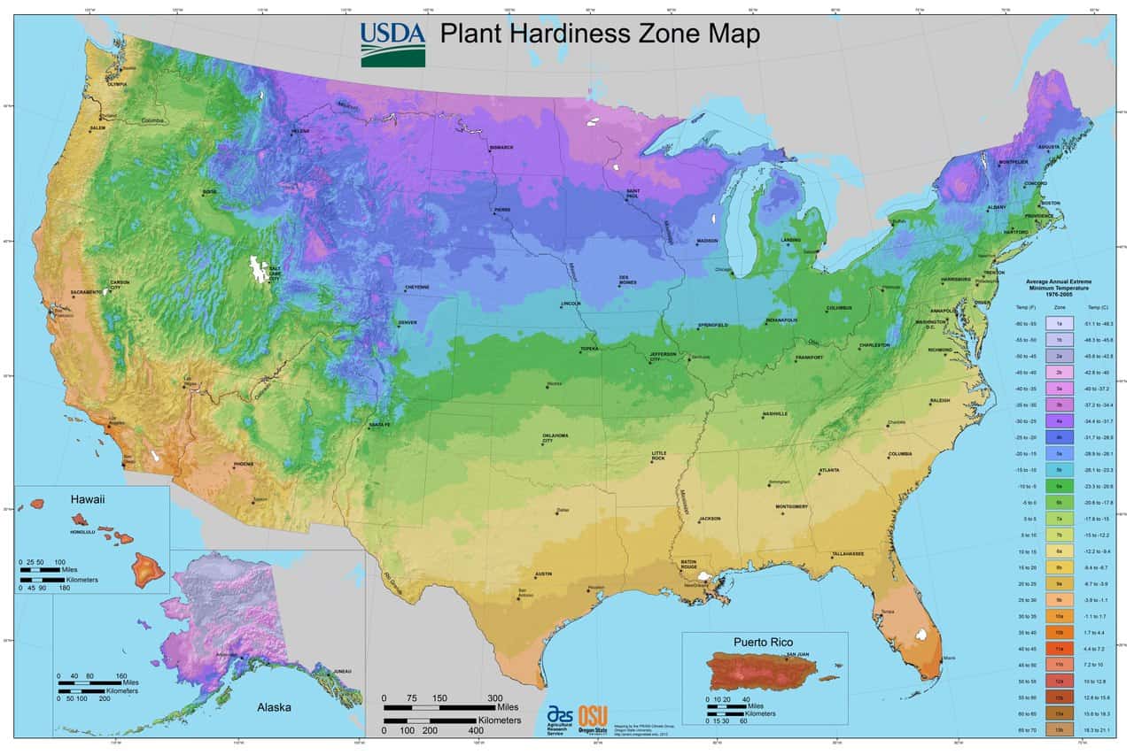 Map showing USDA Plant Hardiness Zones across the United States, including Alaska, Hawaii, and Puerto Rico, color-coded to represent average annual extreme temperatures from -60°F to 70°F, indicating regions where different types of plants can thrive based on temperature tolerance