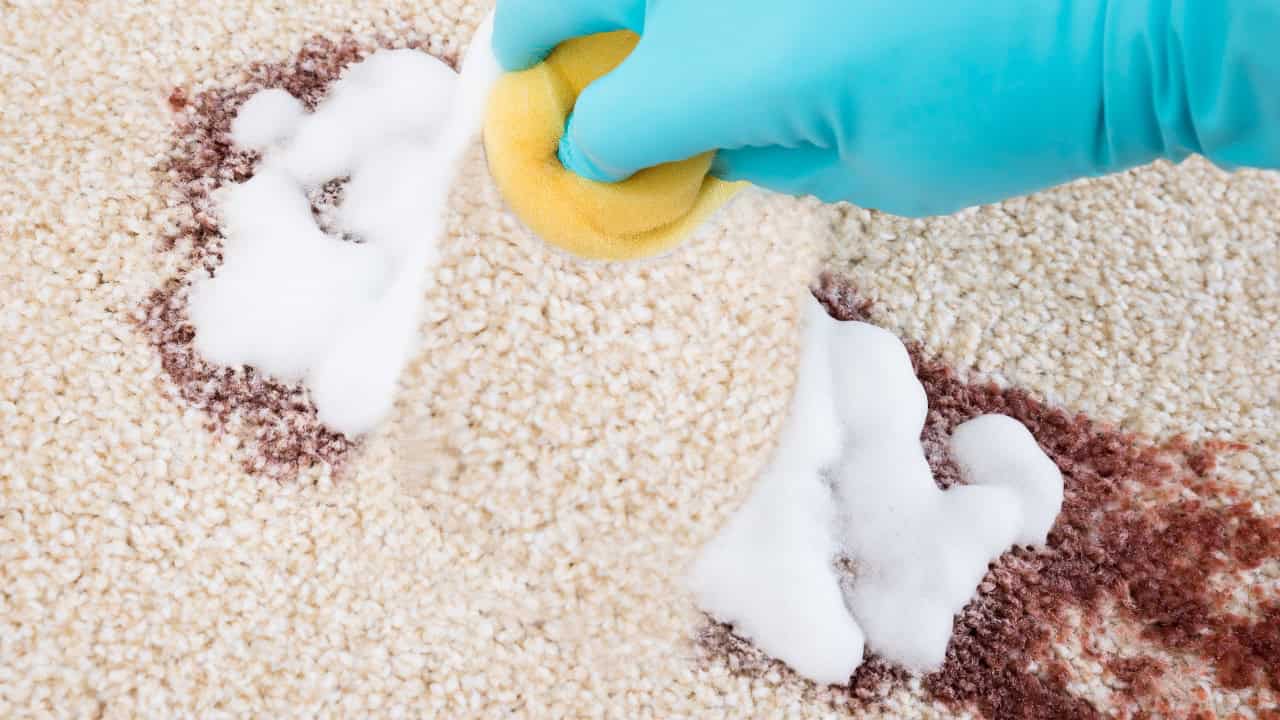 A person cleaning a carpet with a yellow sponge, applying foam to remove stains, wearing blue rubber gloves, using a gentle scrubbing motion, cleaning with soapy water, maintaining carpet cleanliness