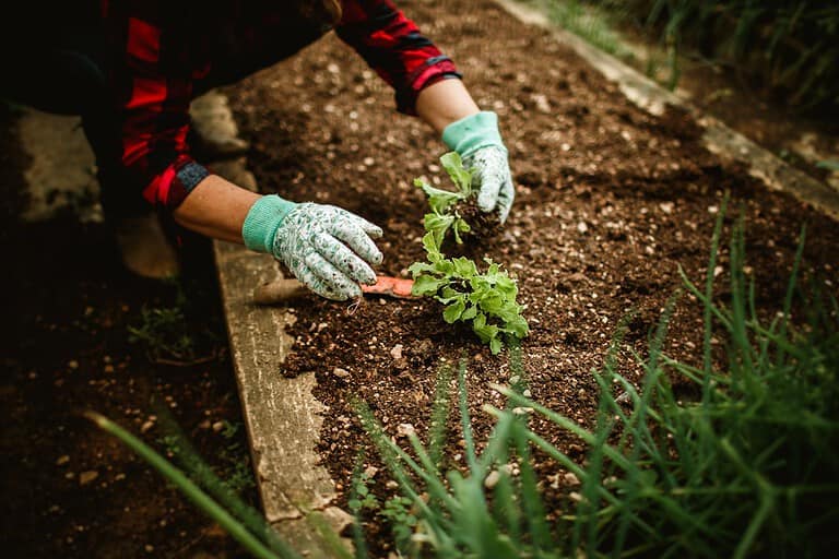 15 Things You Should Do in Your Garden Before the Last Frost: A Quick Guide to Spring Prep