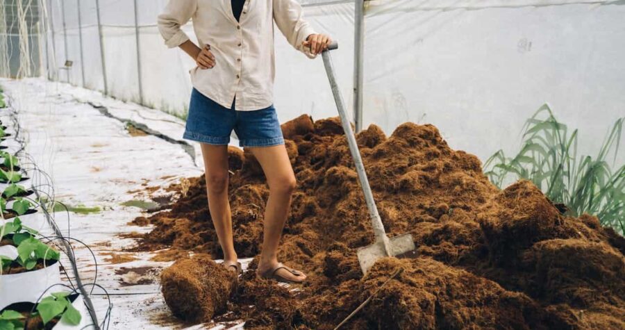 Person in white shirt and denim shorts working with shovel on brown mulch pile inside greenhouse with plants nearby