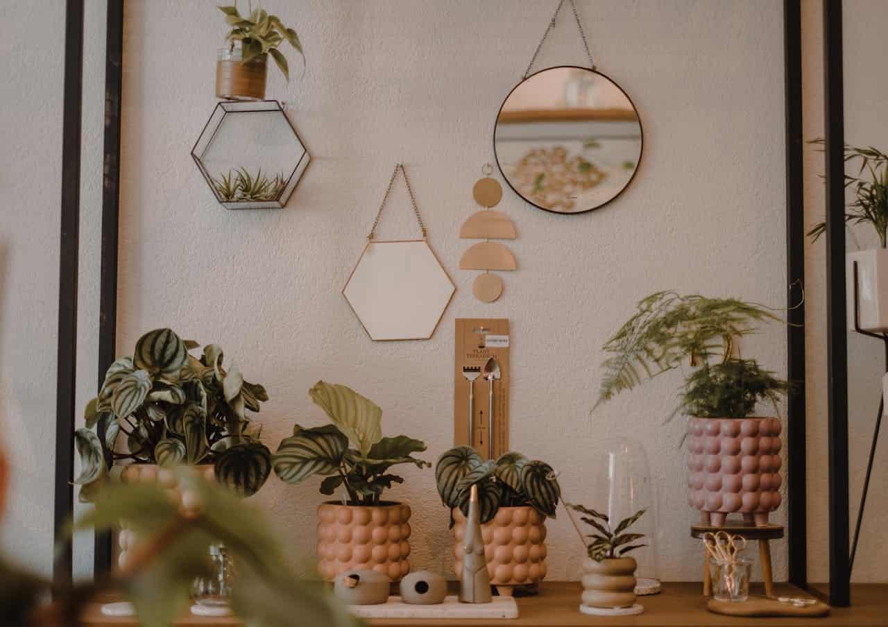 A cozy indoor shelf, decorated with plants in stylish pots, a round and hexagon-shaped mirror on the wall, a decorative hanging piece with circular shapes