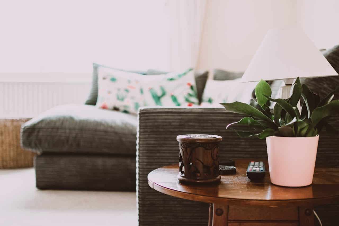 Cozy living room with a green plant in a pink pot, a lamp on a wooden side table, a carved elephant incense holder, remote control, soft striped couch with colorful pillows in the background, warm and inviting atmosphere