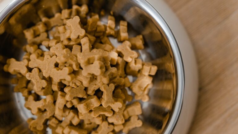 Metal bowl filled with small, bone-shaped dog treats, placed on a wooden surface, treats are light brown and uniform in size, likely prepared for feeding a pet