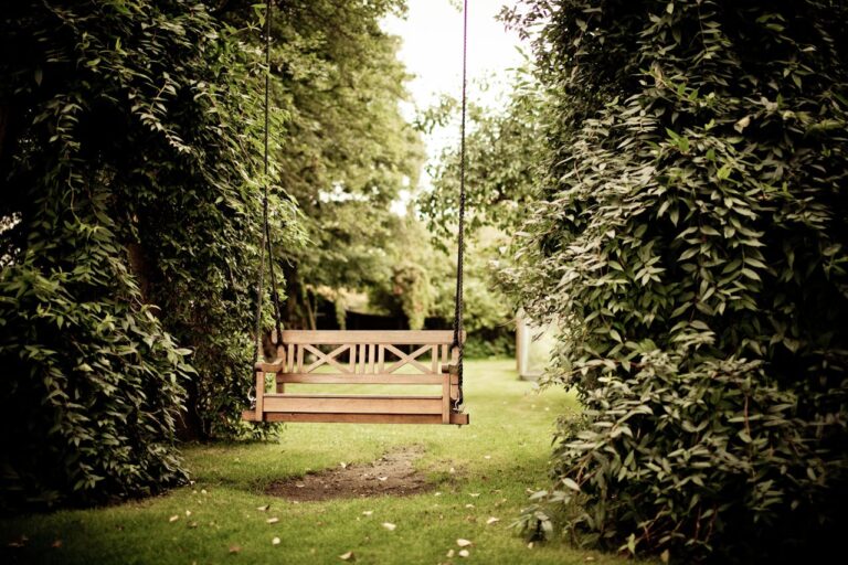 Wooden swing hanging between two leafy trees, grassy path leading to the swing, peaceful garden setting, serene outdoor space