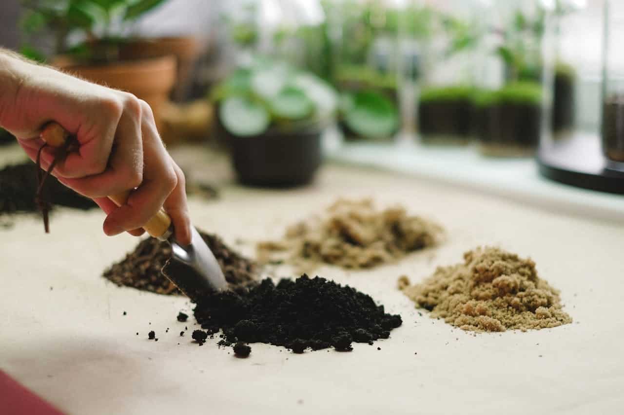 Hand using small gardening trowel to scoop dark soil, with various soil types arranged on a table, plants in background