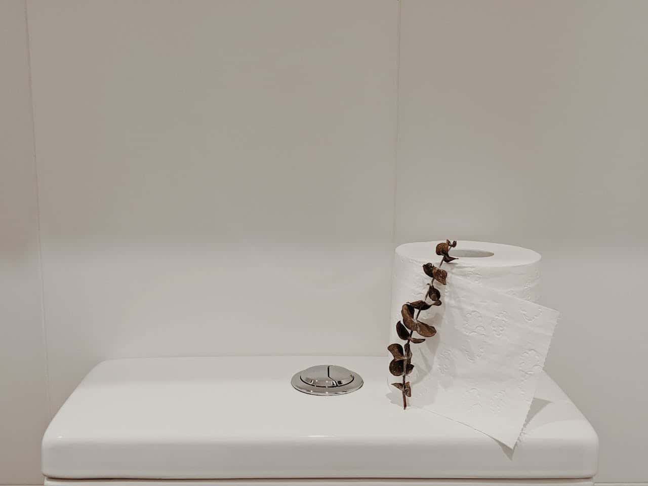A roll of toilet paper on top of a toilet tank, a single sheet hanging off the roll, a branch with dry leaves next to the toilet paper, minimalist bathroom design, clean and simple bathroom setting, neutral-colored background, no visible distractions or clutter