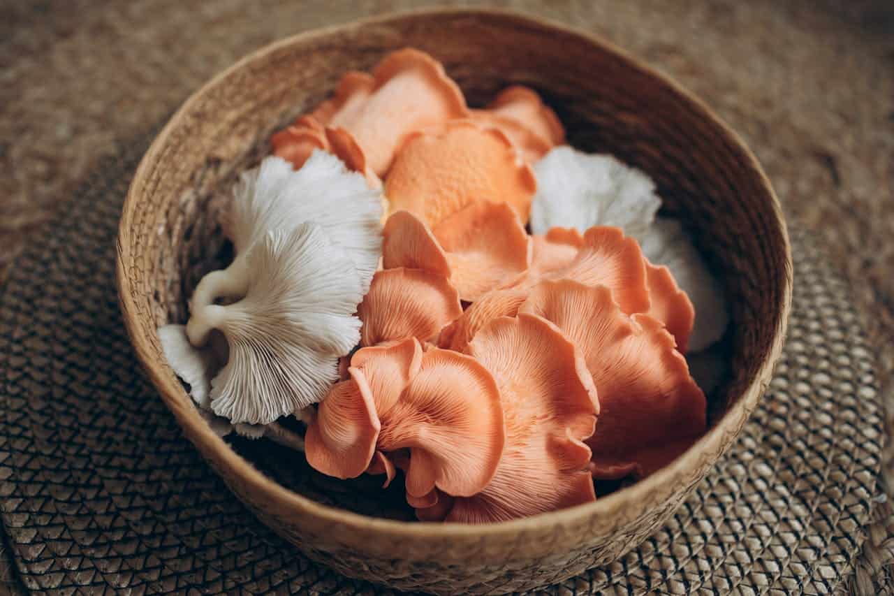 Orange and white mushrooms in a wooden bowl, delicate gill structures visible, textured woven mat beneath, likely oyster mushrooms