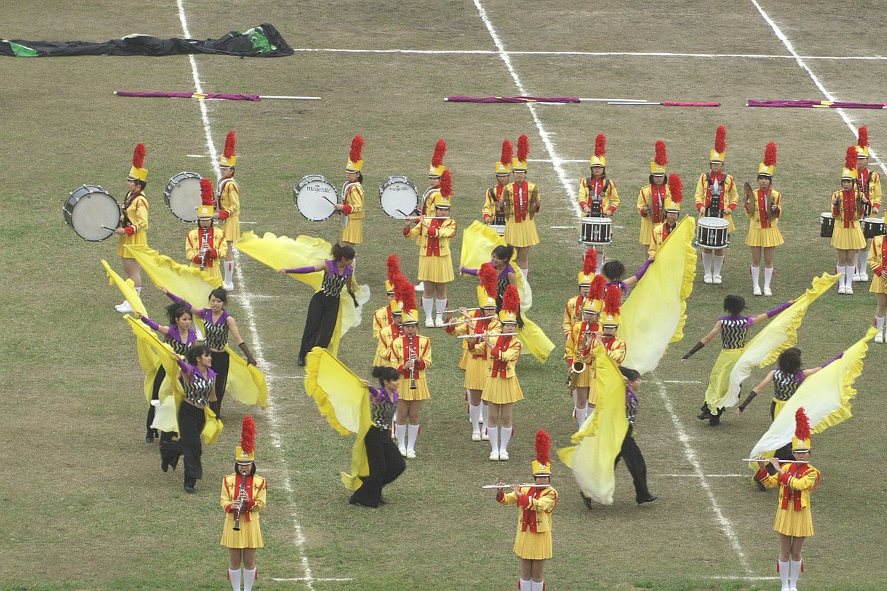 A marching band performing, band members wearing yellow and red uniforms with tall feathered hats, some holding instruments like drums and clarinets, others waving large yellow flags, purple shirts on flag bearers, grassy field with painted white lines