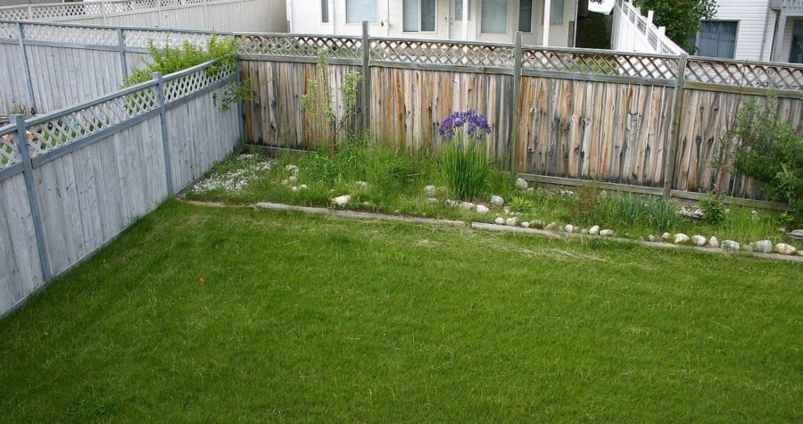 A well-maintained backyard with a grassy lawn, a wooden fence with a lattice top, flower beds along the fence with blooming purple flowers and green plants, bordered with small rocks, a quiet residential area in the background with a few houses visible