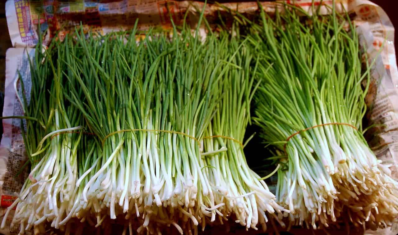 Bundles of fresh green scallions with white roots tied together, displayed on newspaper at a market