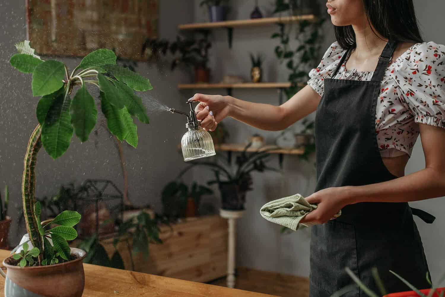 A woman in casual attire waters houseplants using a glass spray bottle in a cozy indoor environment.