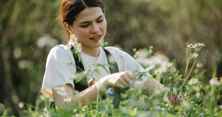Adult woman caring for flowers in a vibrant outdoor garden.