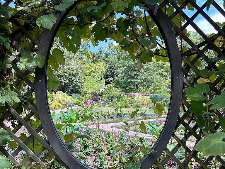 View of a formal garden through a circular opening in a wooden trellis covered with green grapevine leaves, colorful flower beds and winding paths spread across the landscape, framed naturally by the foliage and lattice structure
