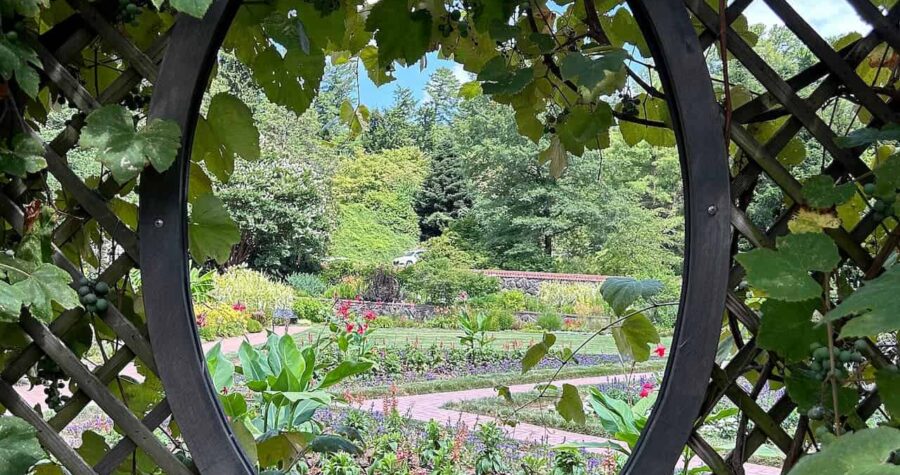 View of a formal garden through a circular opening in a wooden trellis covered with green grapevine leaves, colorful flower beds and winding paths spread across the landscape, framed naturally by the foliage and lattice structure