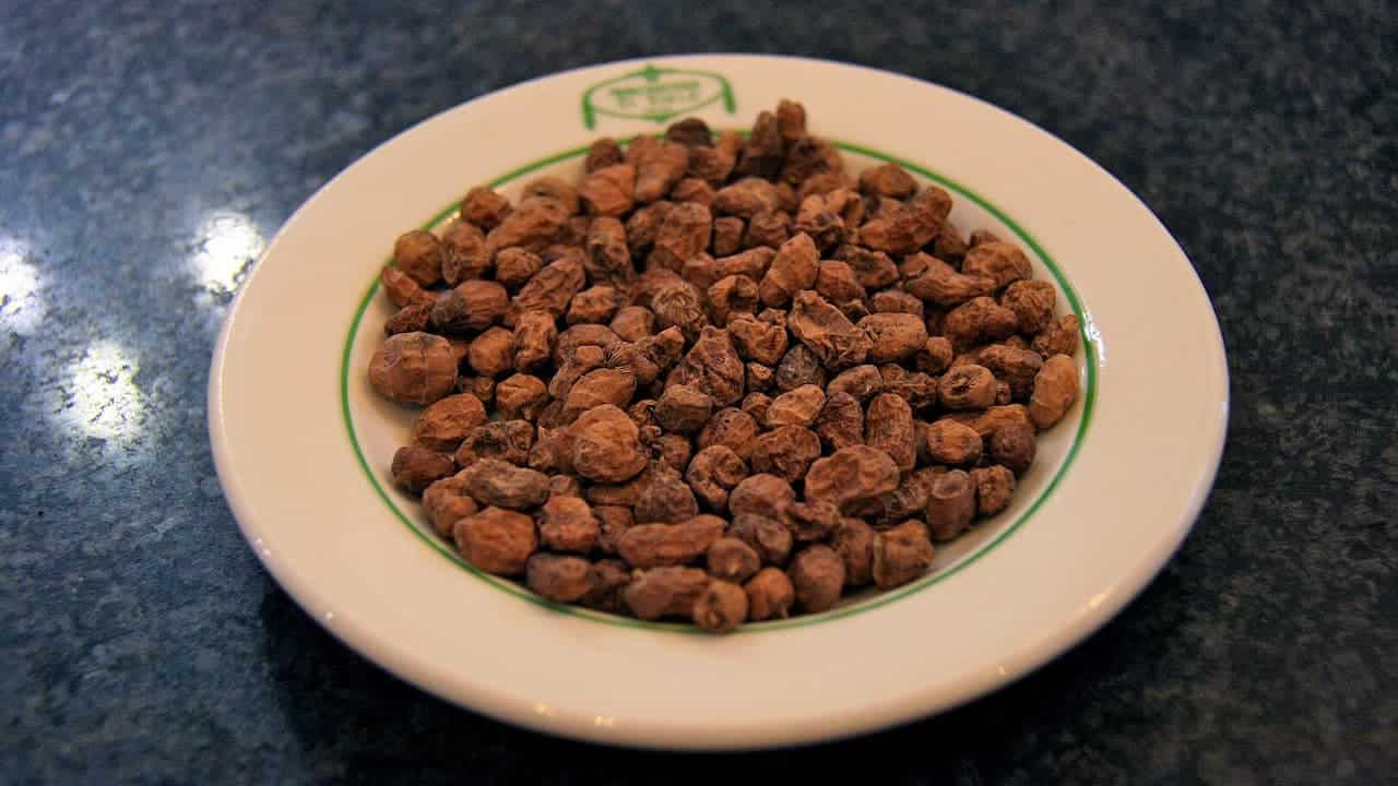 A plate filled with small, wrinkled, brown tiger nuts (chufa) sits on a dark, reflective countertop under soft lighting, with a simple green line design on the rim of the white plate