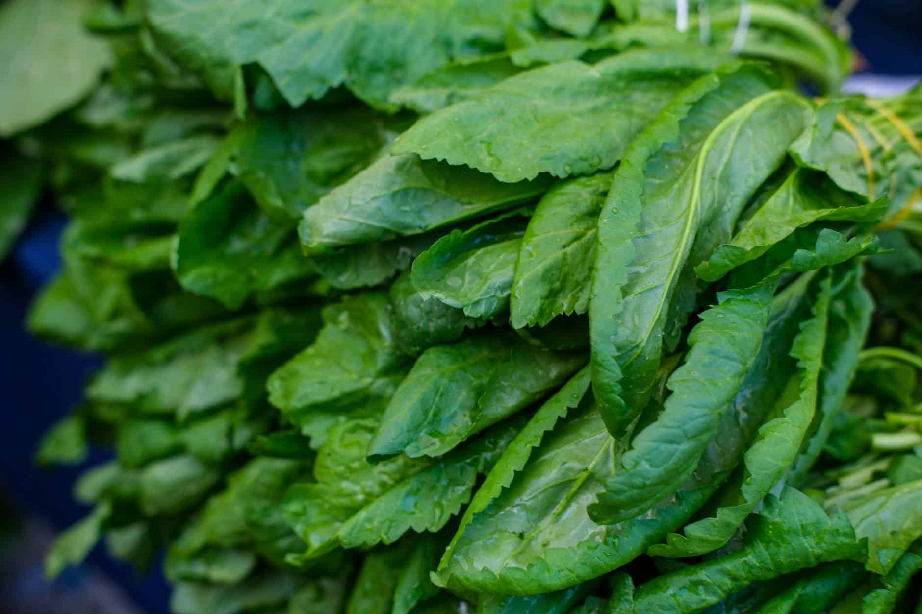 Close-up of fresh spinach leaves with water droplets, ideal for healthy eating concepts.