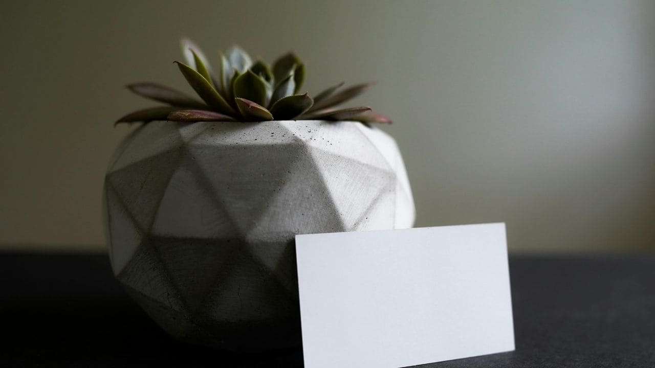 Concrete geometric planters