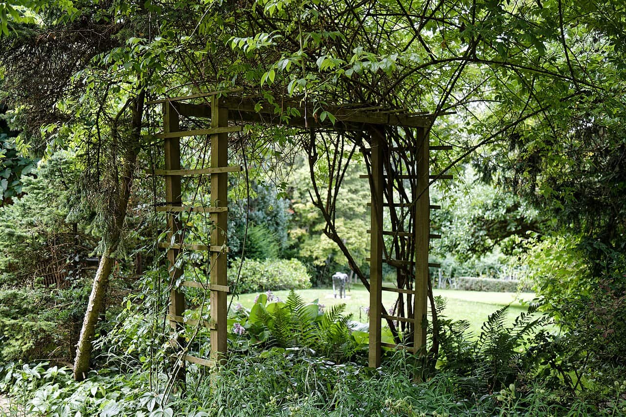 The image shows a wooden garden trellis, surrounded by lush greenery, plants climbing on the structure, a peaceful outdoor setting, soft sunlight filtering through the leaves, a well-maintained garden, a serene and inviting atmosphere, natural landscape with trees in the background