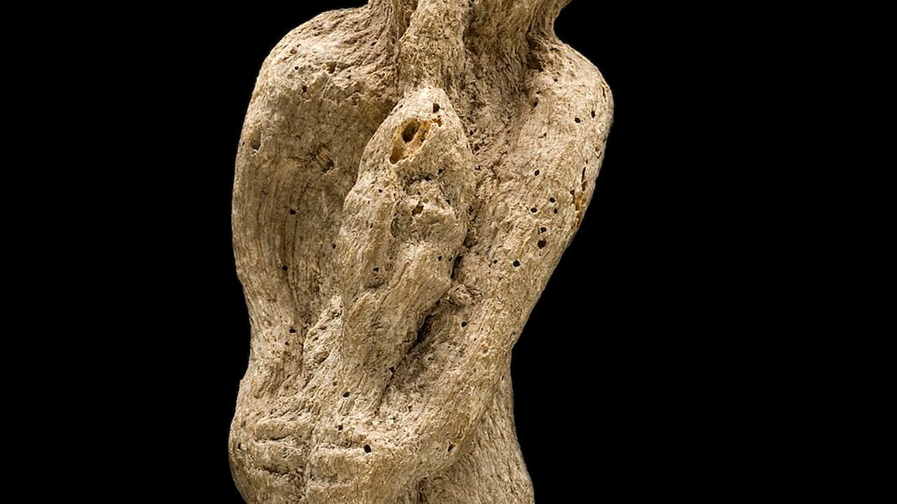 Mandrake root resembling a human, with a rough texture, hollowed features, and an eerie form against a black background