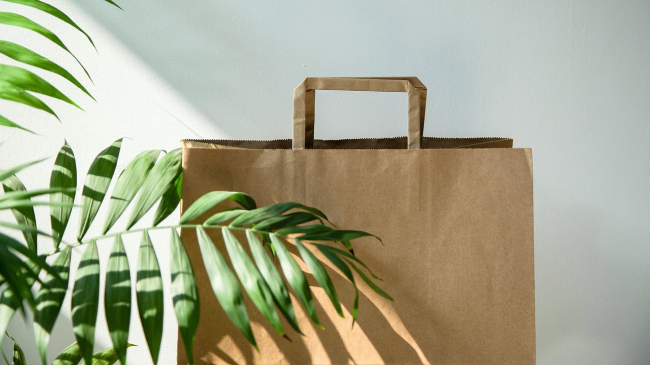 A brown paper shopping bag with handles sits on a surface next to green plant leaves, suggesting eco-friendly or sustainable shopping practices