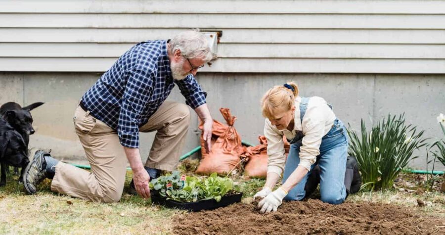 Older man in plaid shirt and younger woman with blonde hair gardening together, both kneeling beside prepared soil, seedling tray nearby, black dog watching, house siding in background