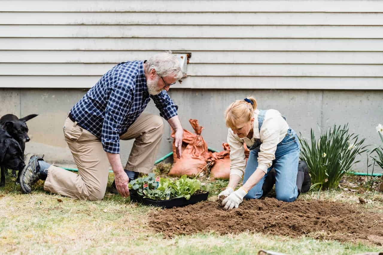 Older man in plaid shirt and younger woman with blonde hair gardening together, both kneeling beside prepared soil, seedling tray nearby, black dog watching, house siding in background