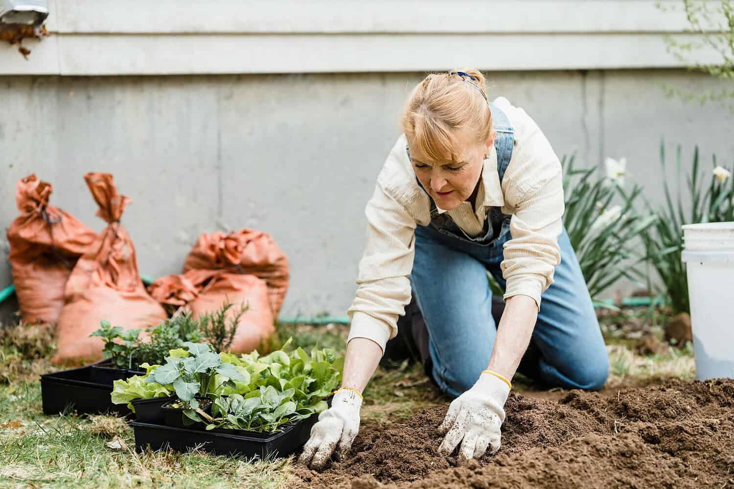Senior woman kneeling in a garden, planting small plants in soil with protective gloves on