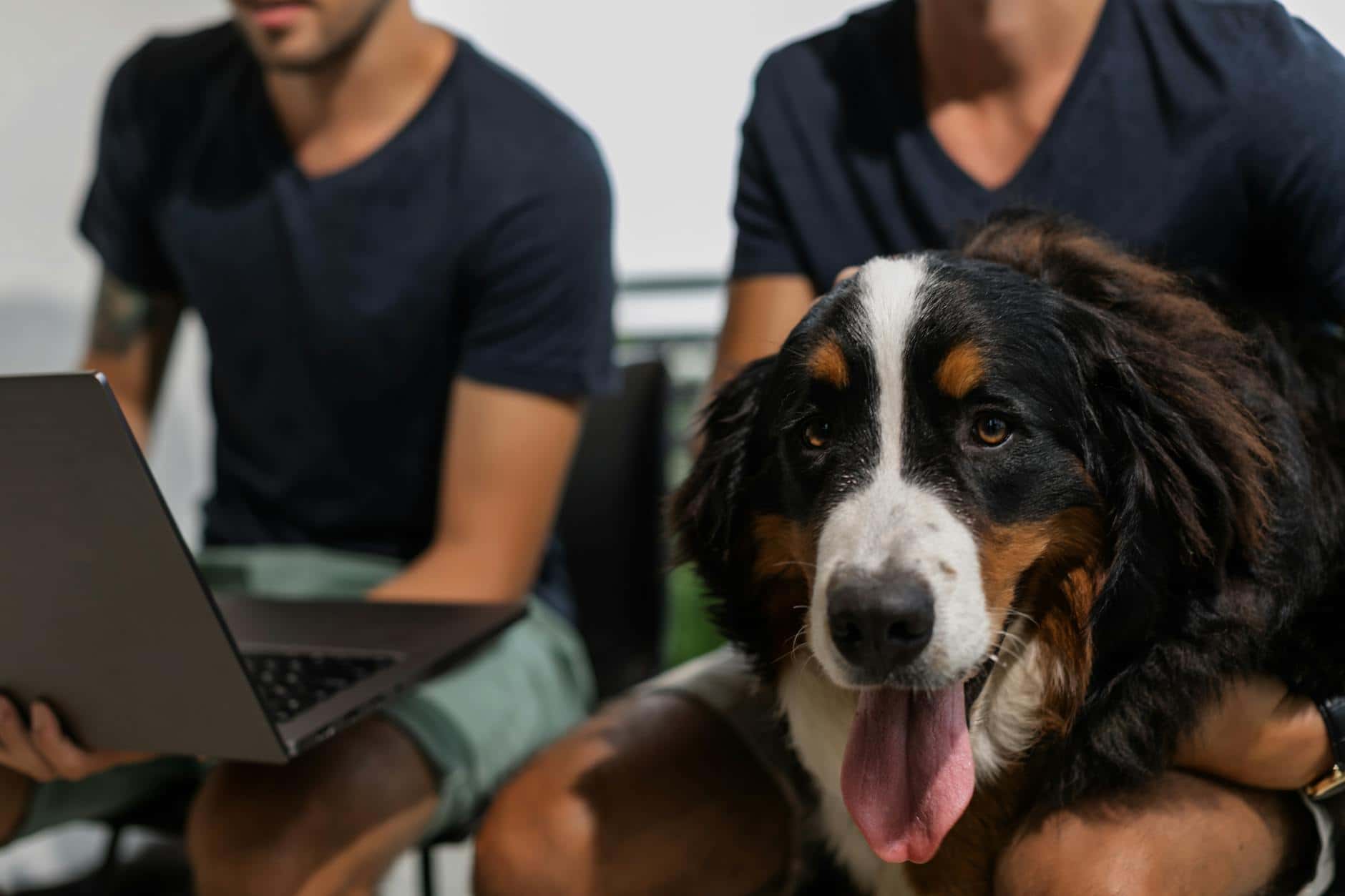 Two men with a Bernese Mountain Dog sitting close together using a laptop indoors.