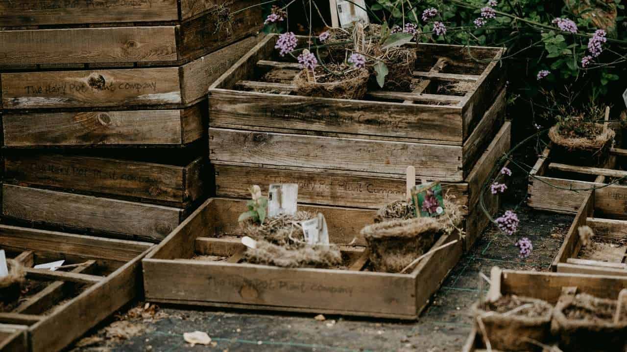 Upcycle old wooden crates as charming rustic planters
