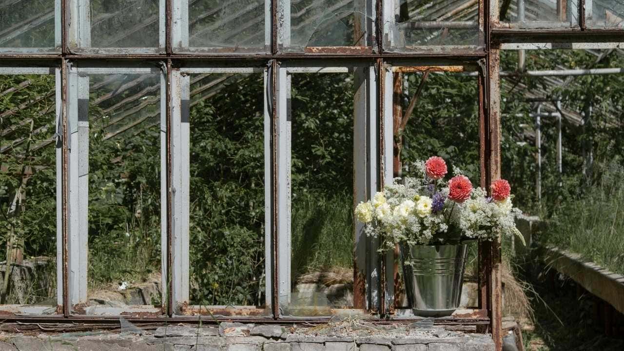 Upcycled galvanized buckets as planters