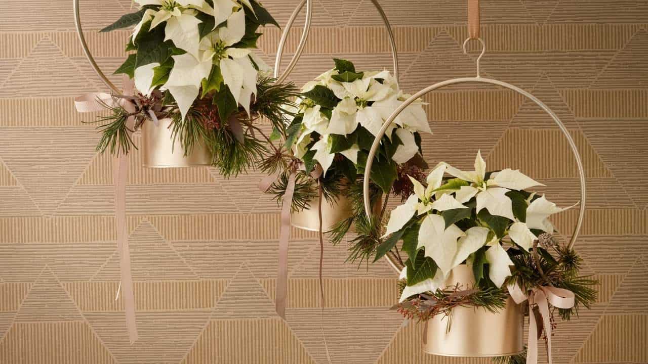 Vertical three-tiered hanging baskets