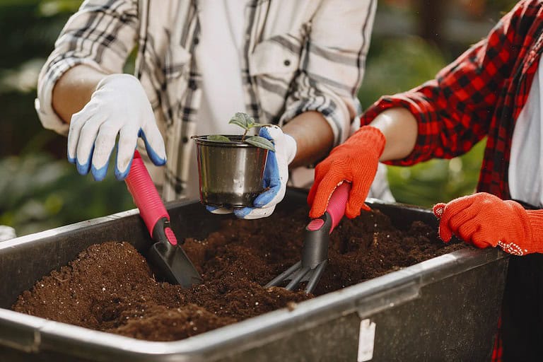 Two people in plaid shirts with gardening gloves working with soil, one holding small seedling in metal pot, both using pink-handled garden tools, planting container filled with fresh potting soil
