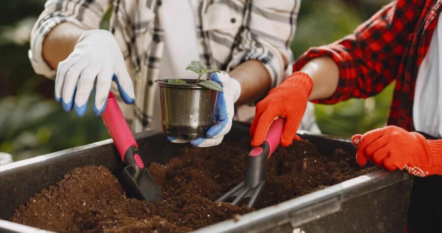 Two people in plaid shirts with gardening gloves working with soil, one holding small seedling in metal pot, both using pink-handled garden tools, planting container filled with fresh potting soil