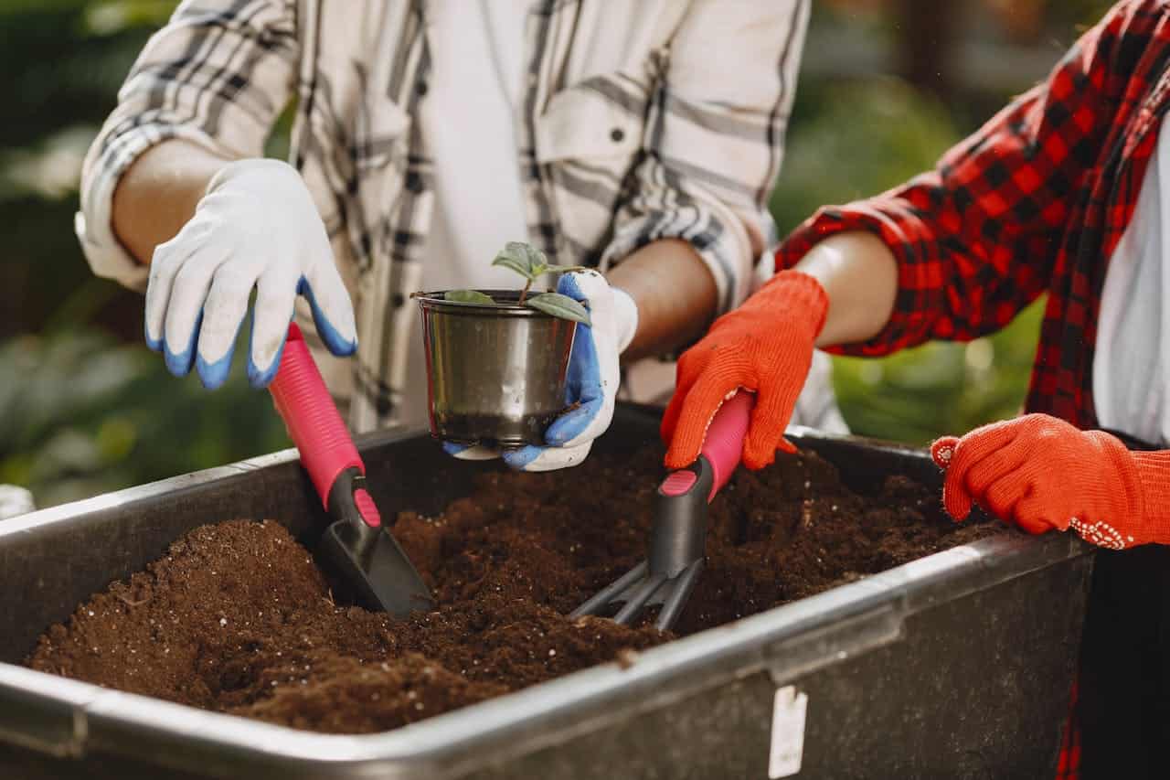Two people in plaid shirts with gardening gloves working with soil, one holding small seedling in metal pot, both using pink-handled garden tools, planting container filled with fresh potting soil
