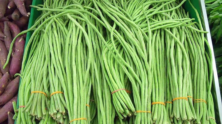 Fresh bundles of long green beans tied with orange rubber bands displayed in a market bin. The slender yard-long beans are neatly arranged in bunches, with purple sweet potatoes or yams partially visible in the left corner