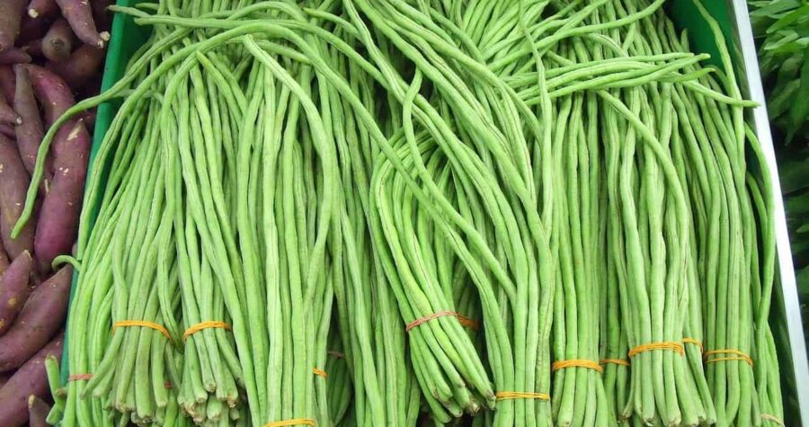 Fresh bundles of long green beans tied with orange rubber bands displayed in a market bin. The slender yard-long beans are neatly arranged in bunches, with purple sweet potatoes or yams partially visible in the left corner